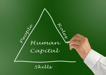 Human Resource Management Vs Human Capital Management: Roles